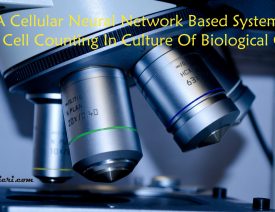 A Cellular Neural Network based system for cell counting in culture of biological cells